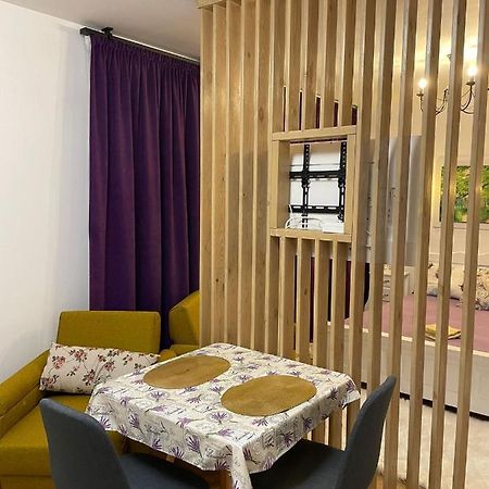 Apartament Gabriela 39 Baia Mare Zewnętrze zdjęcie
