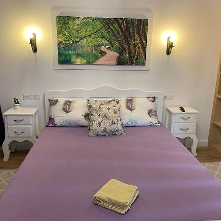 Apartament Gabriela 39 Baia Mare Zewnętrze zdjęcie