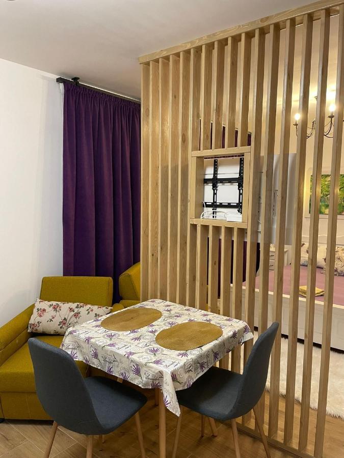 Apartament Gabriela 39 Baia Mare Zewnętrze zdjęcie