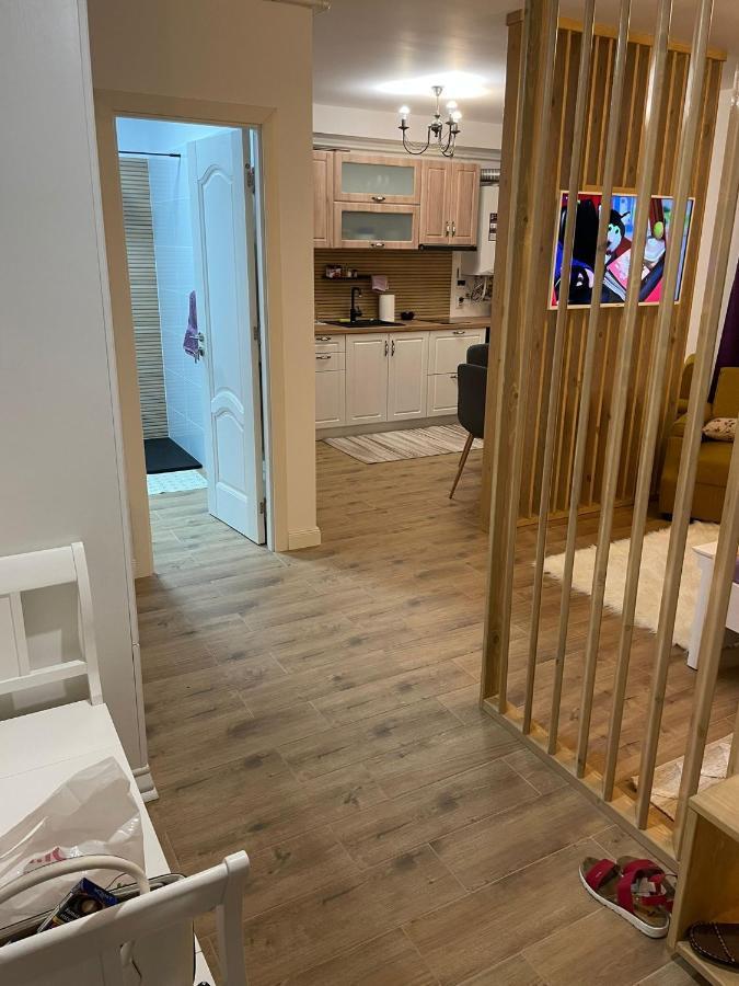Apartament Gabriela 39 Baia Mare Zewnętrze zdjęcie