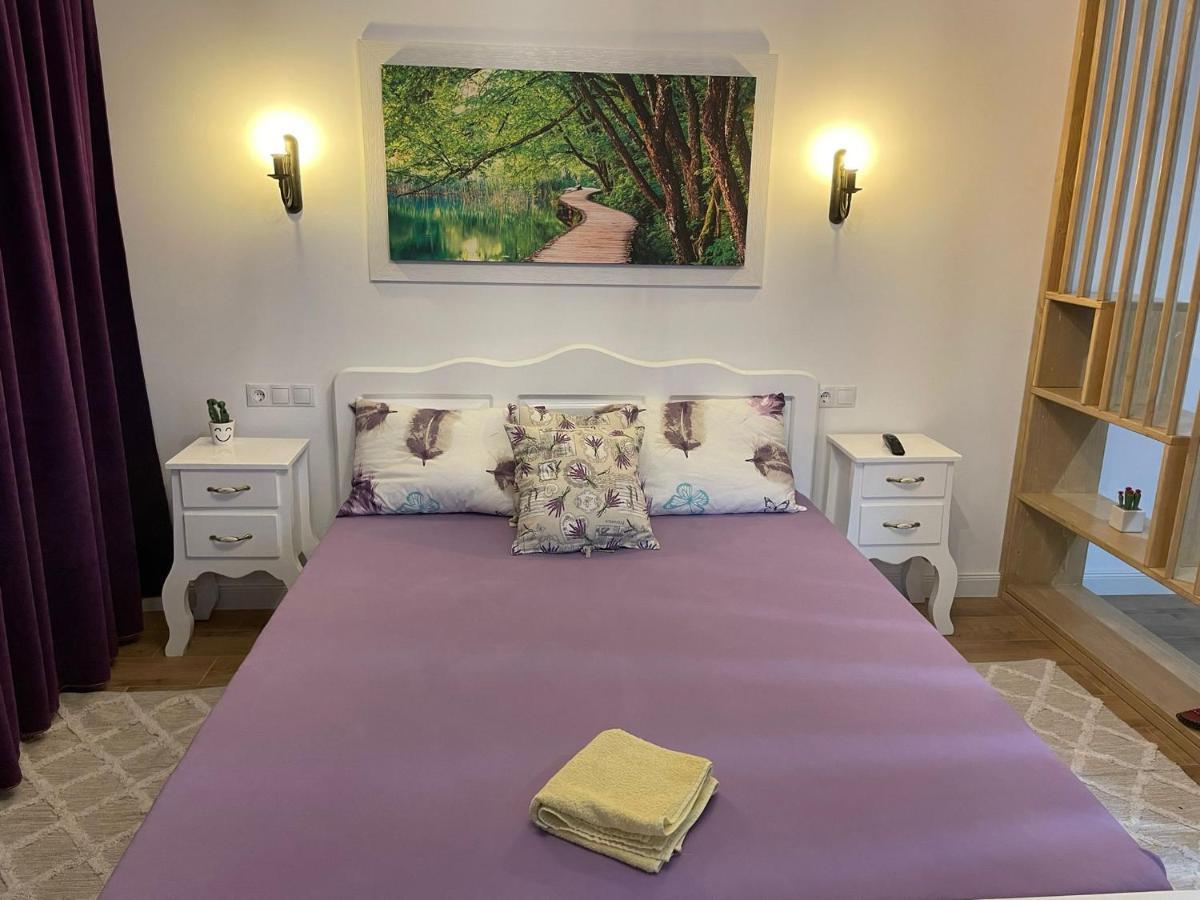 Apartament Gabriela 39 Baia Mare Zewnętrze zdjęcie