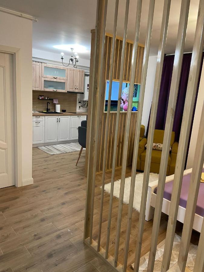 Apartament Gabriela 39 Baia Mare Zewnętrze zdjęcie