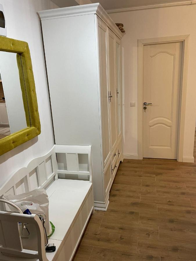 Apartament Gabriela 39 Baia Mare Zewnętrze zdjęcie