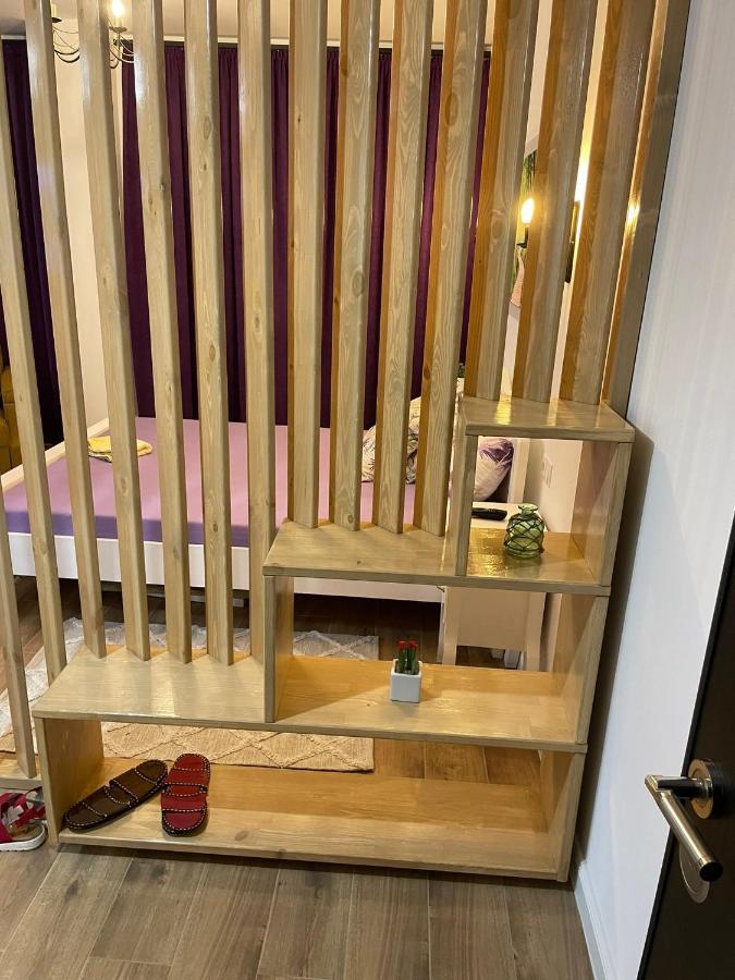 Apartament Gabriela 39 Baia Mare Zewnętrze zdjęcie