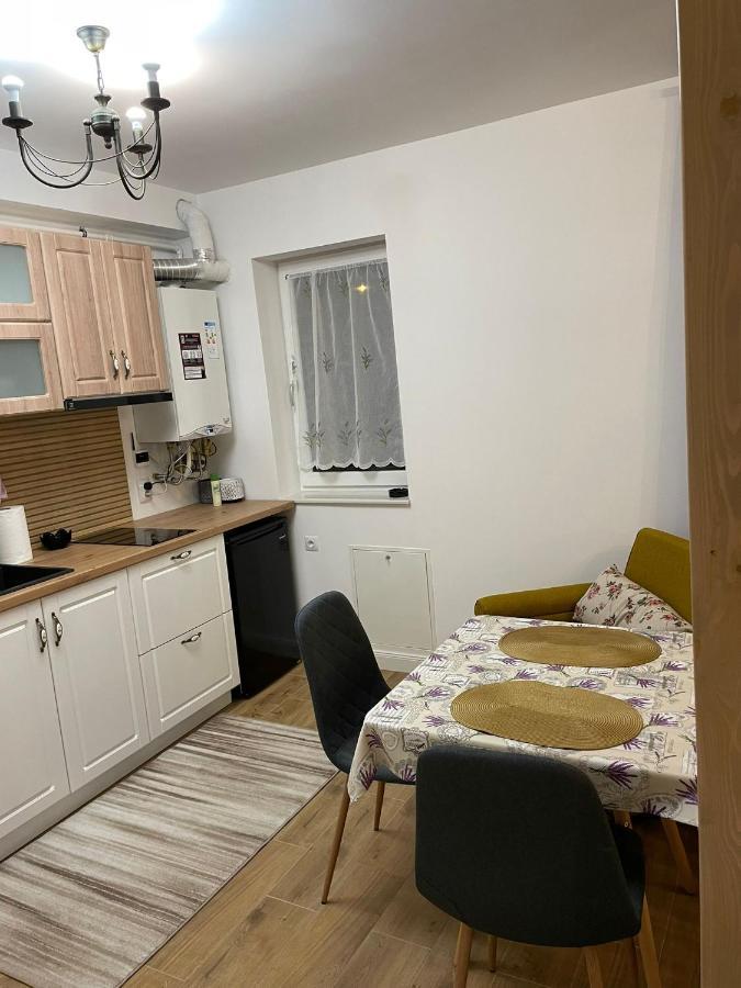 Apartament Gabriela 39 Baia Mare Zewnętrze zdjęcie