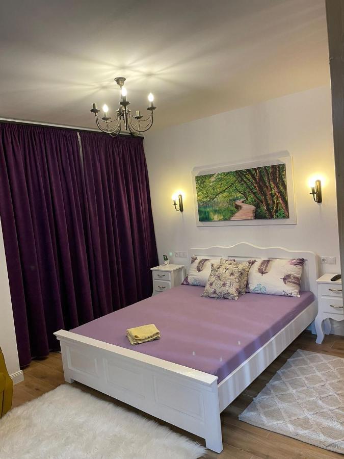 Apartament Gabriela 39 Baia Mare Zewnętrze zdjęcie