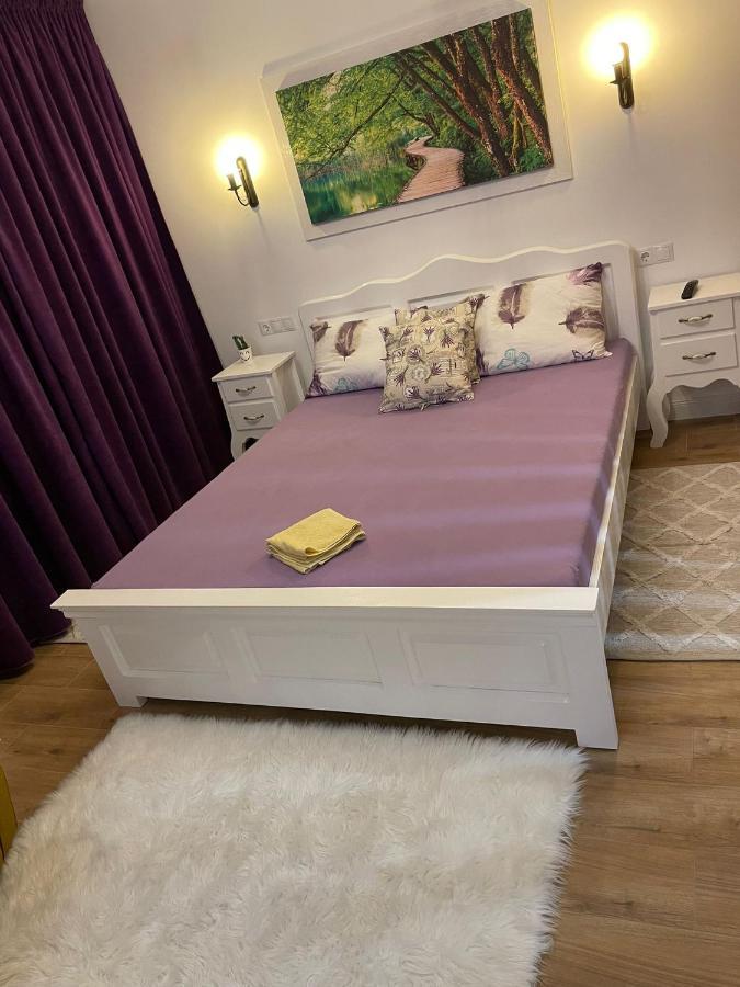 Apartament Gabriela 39 Baia Mare Zewnętrze zdjęcie