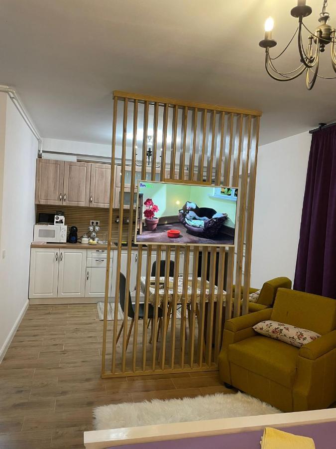 Apartament Gabriela 39 Baia Mare Zewnętrze zdjęcie