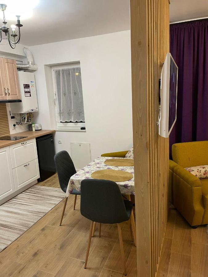 Apartament Gabriela 39 Baia Mare Zewnętrze zdjęcie