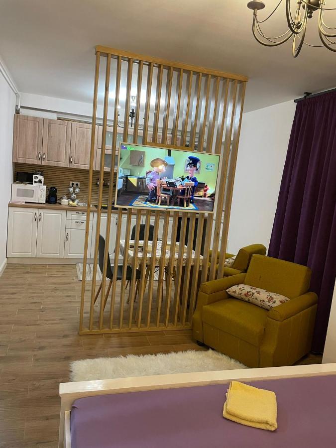 Apartament Gabriela 39 Baia Mare Zewnętrze zdjęcie