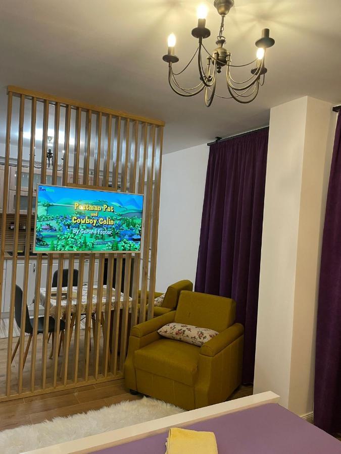 Apartament Gabriela 39 Baia Mare Zewnętrze zdjęcie