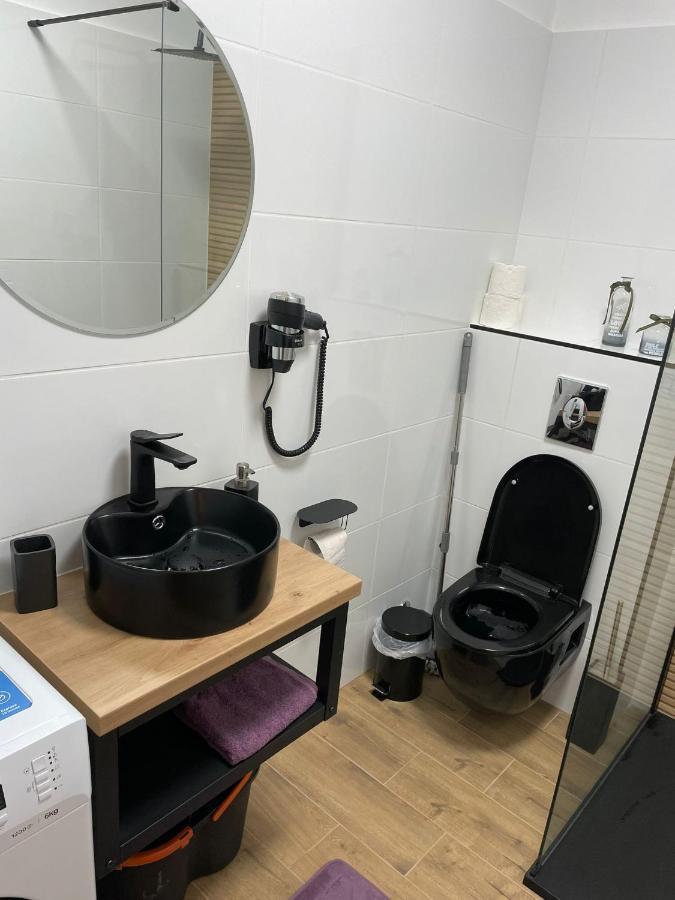 Apartament Gabriela 39 Baia Mare Zewnętrze zdjęcie