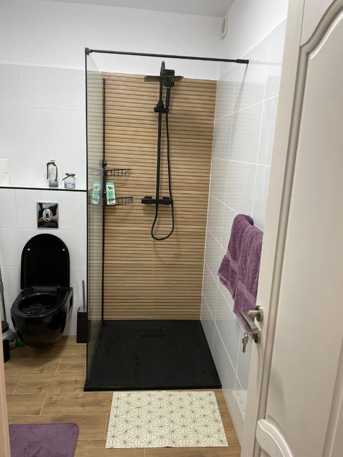 Apartament Gabriela 39 Baia Mare Zewnętrze zdjęcie