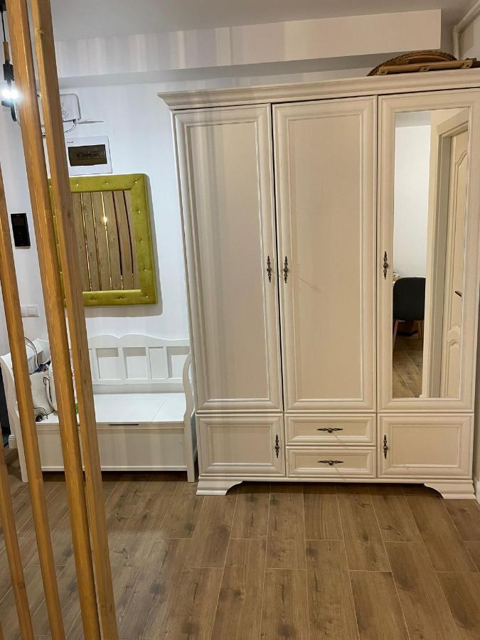 Apartament Gabriela 39 Baia Mare Zewnętrze zdjęcie